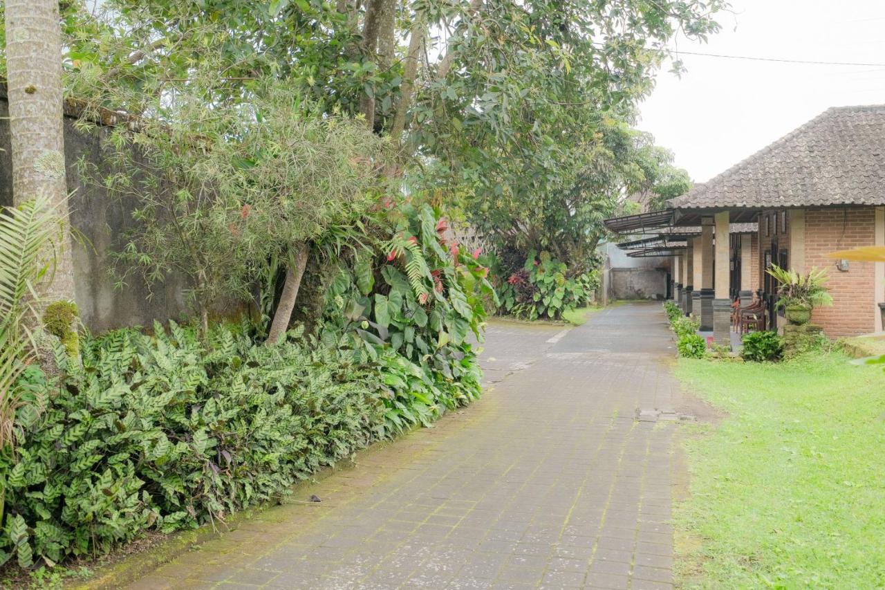 Pelangi Homestay Bedugul Redpartner Экстерьер фото